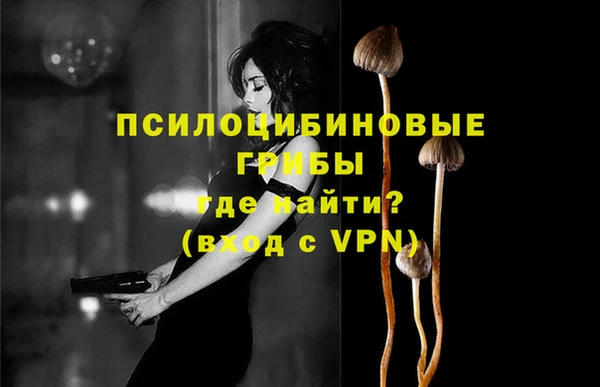 эйфоретик Алексеевка
