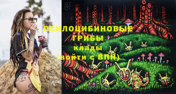 эйфоретик Алексеевка